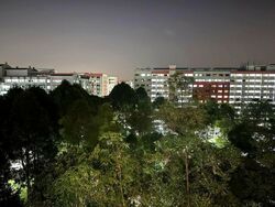 The Canopy (D27), Condominium #596181911